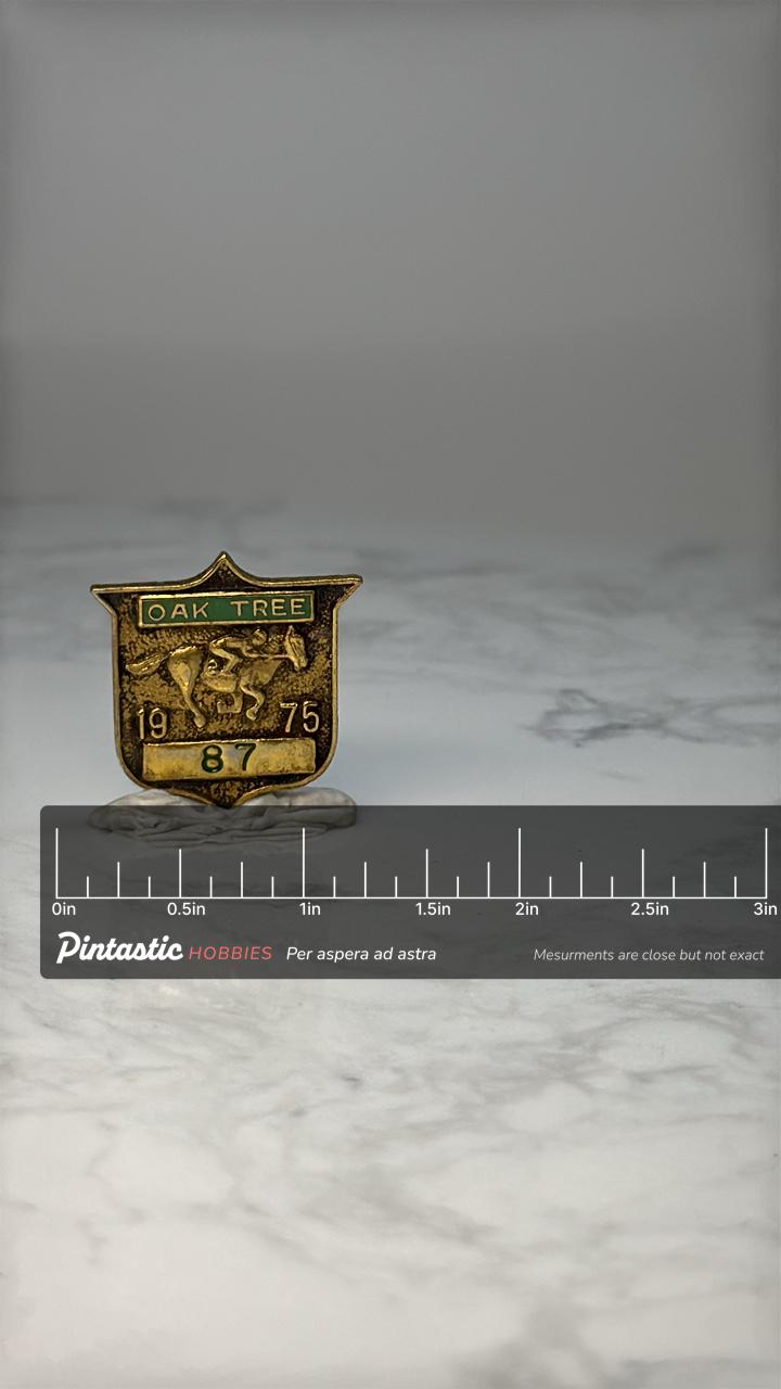 Vintage Oak Tree Horse Racing Pin: Gold Tone Enamel - 1975 Sport with ruler overlay for size reference