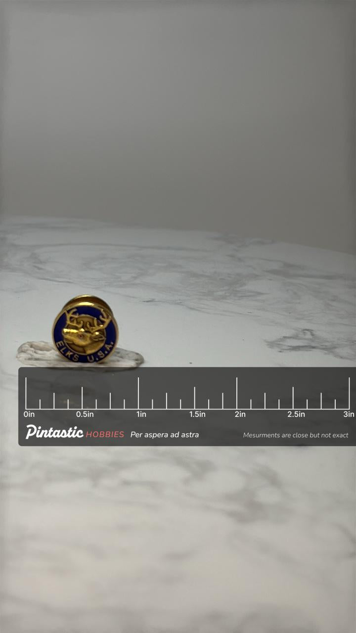 Vintage Elks USA Fraternal Pin: Gold Tone & Blue Enamel - Lodge Accessory with ruler overlay for size reference