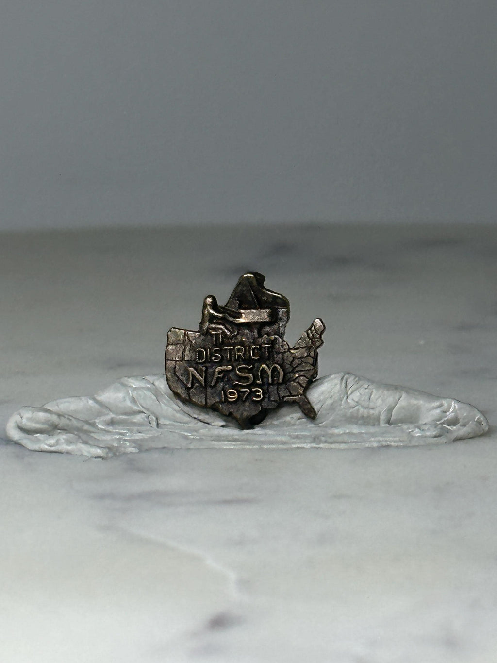 Vintage NFSM District Map Pin: Silver Tone Metal - 1973 Fraternal