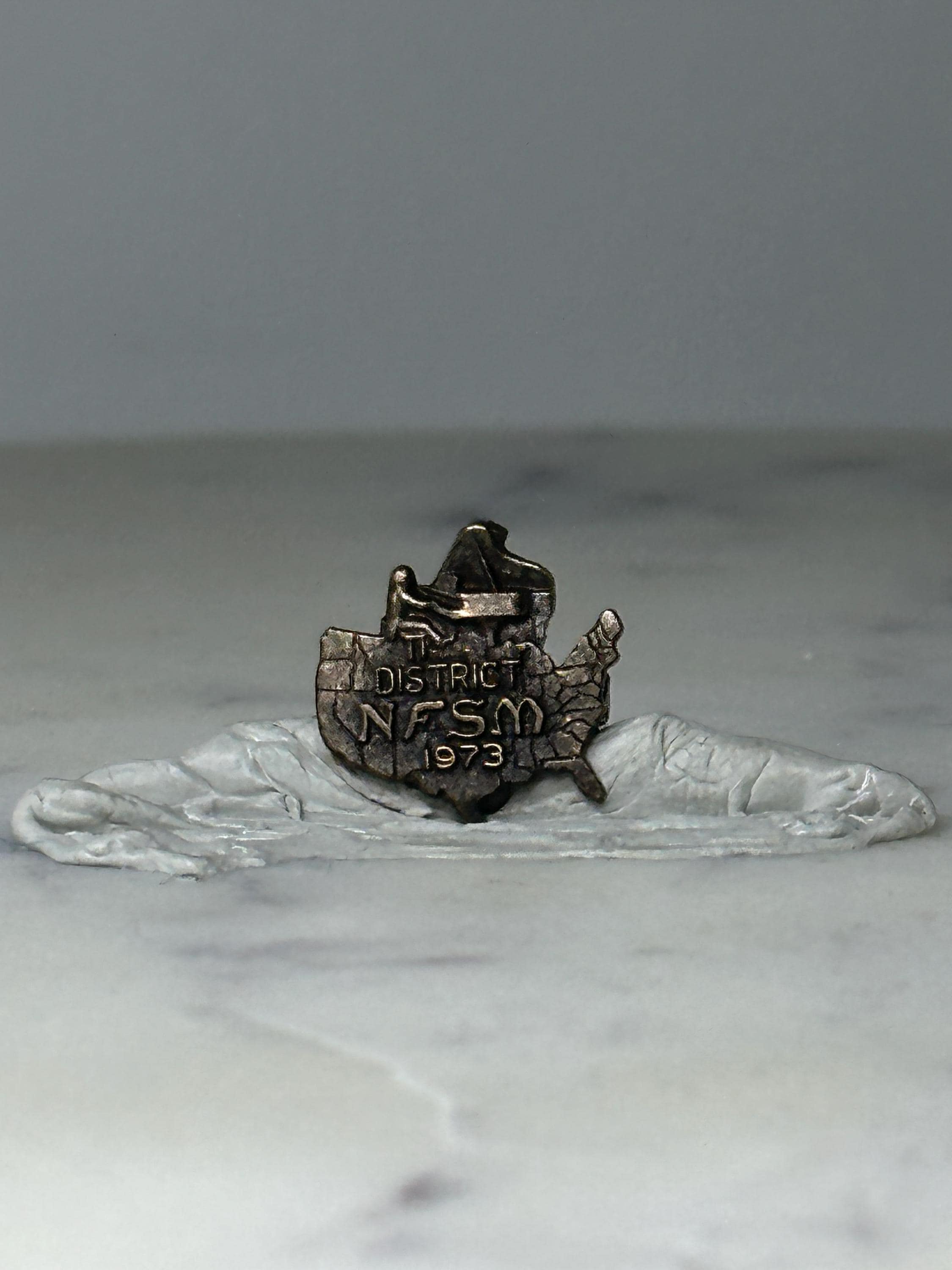 Vintage NFSM District Map Pin: Silver Tone Metal - 1973 Fraternal