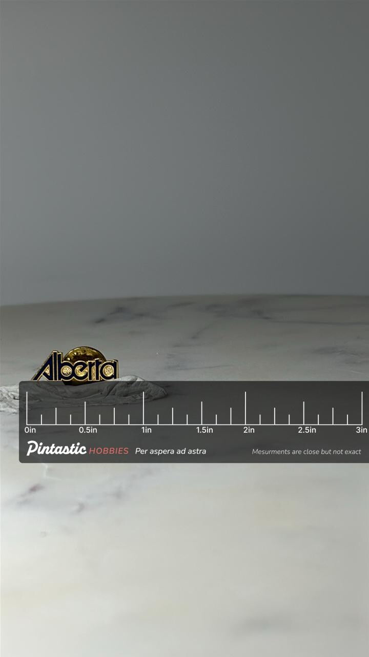 Vintage Alocita Logo Lapel Pin: Gold & Black Enamel - 1980s Corporate Accessory with ruler overlay for size reference