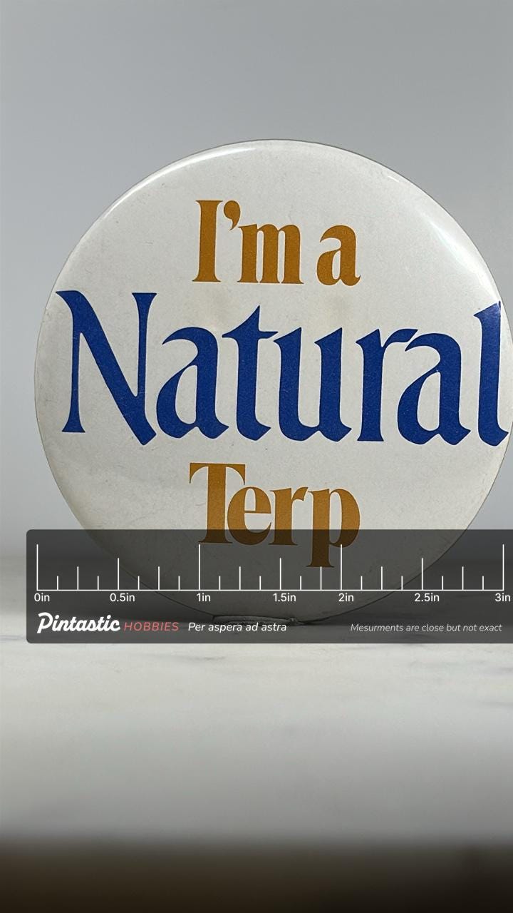 I'm a Natural Terp Pinback Button: White/Blue/Gold - Vintage College Accessory with ruler overlay for size reference