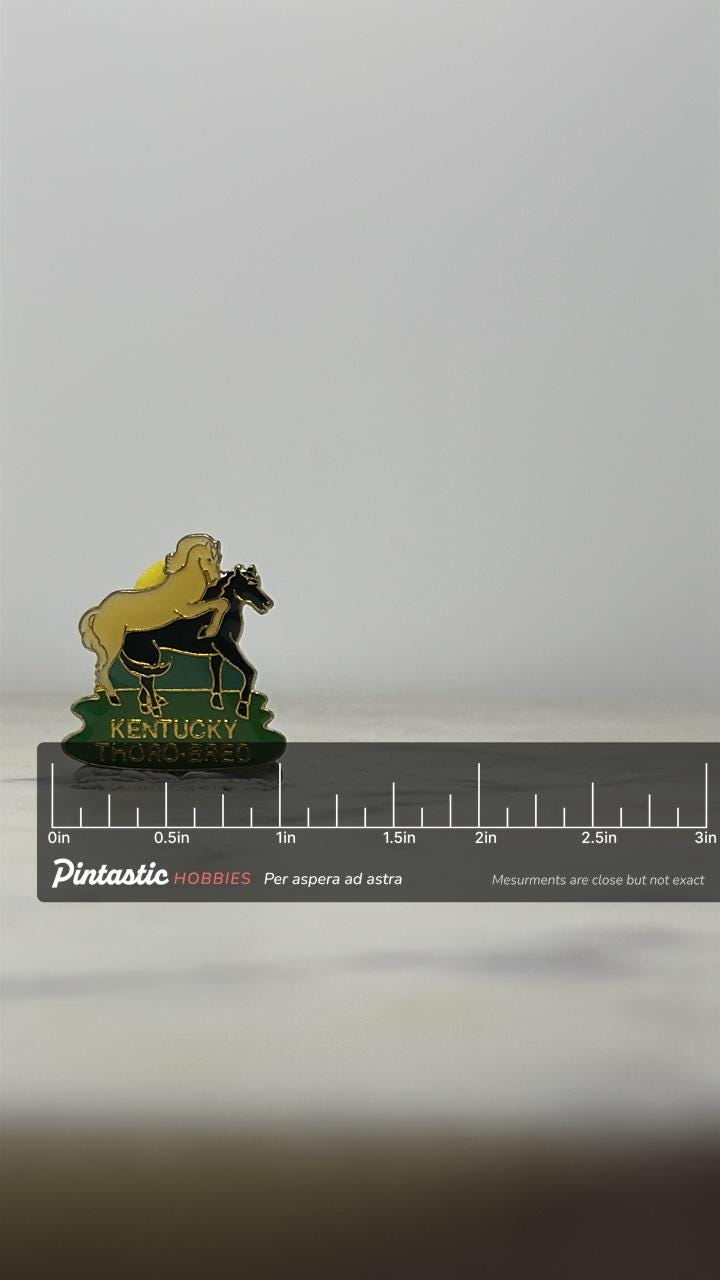 Kentucky Thoro-Bred Horse Pin: Gold & Black Enamel - Vintage Equestrian Accessory with ruler overlay for size reference
