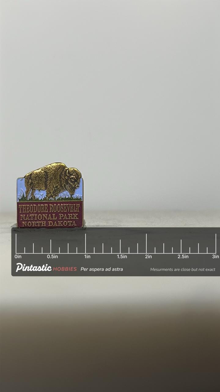 Theodore Roosevelt Bison Enamel Pin: Gold Tone - National Park Souvenir with ruler overlay for size reference