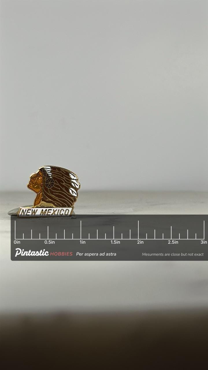 New Mexico Souvenir Pin: Gold & Brown Enamel - Vintage Travel Accessory with ruler overlay for size reference
