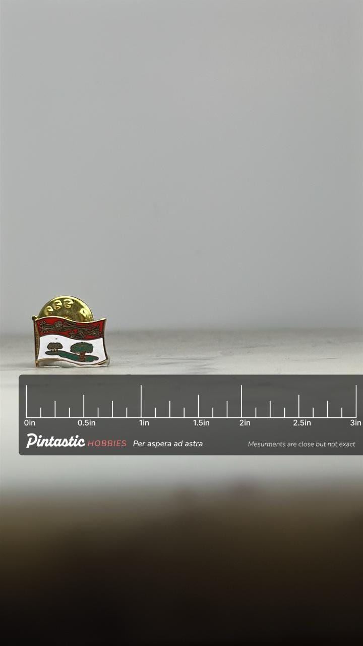 Prince Edward Island Flag Pin: Gold Trim Enamel - Canadian Souvenir Accessory with ruler overlay for size reference