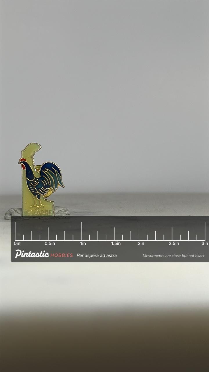 Delaware Rooster Enamel Pin: Gold & Navy Finish - Vintage State Accessory with ruler overlay for size reference