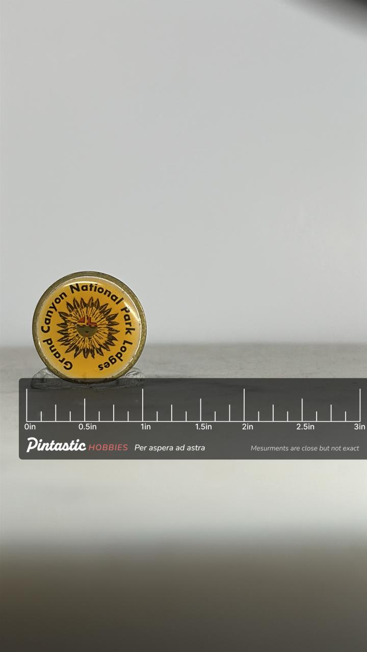 Grand Canyon Lodges Pin: Yellow Enamel Round - Vintage Travel Accessory with ruler overlay for size reference