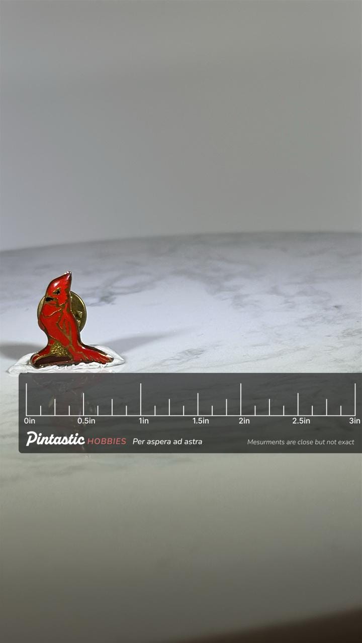 Red Cardinal Bird Pin: Gold Tone Enamel - Vintage Nature Accessory with ruler overlay for size reference