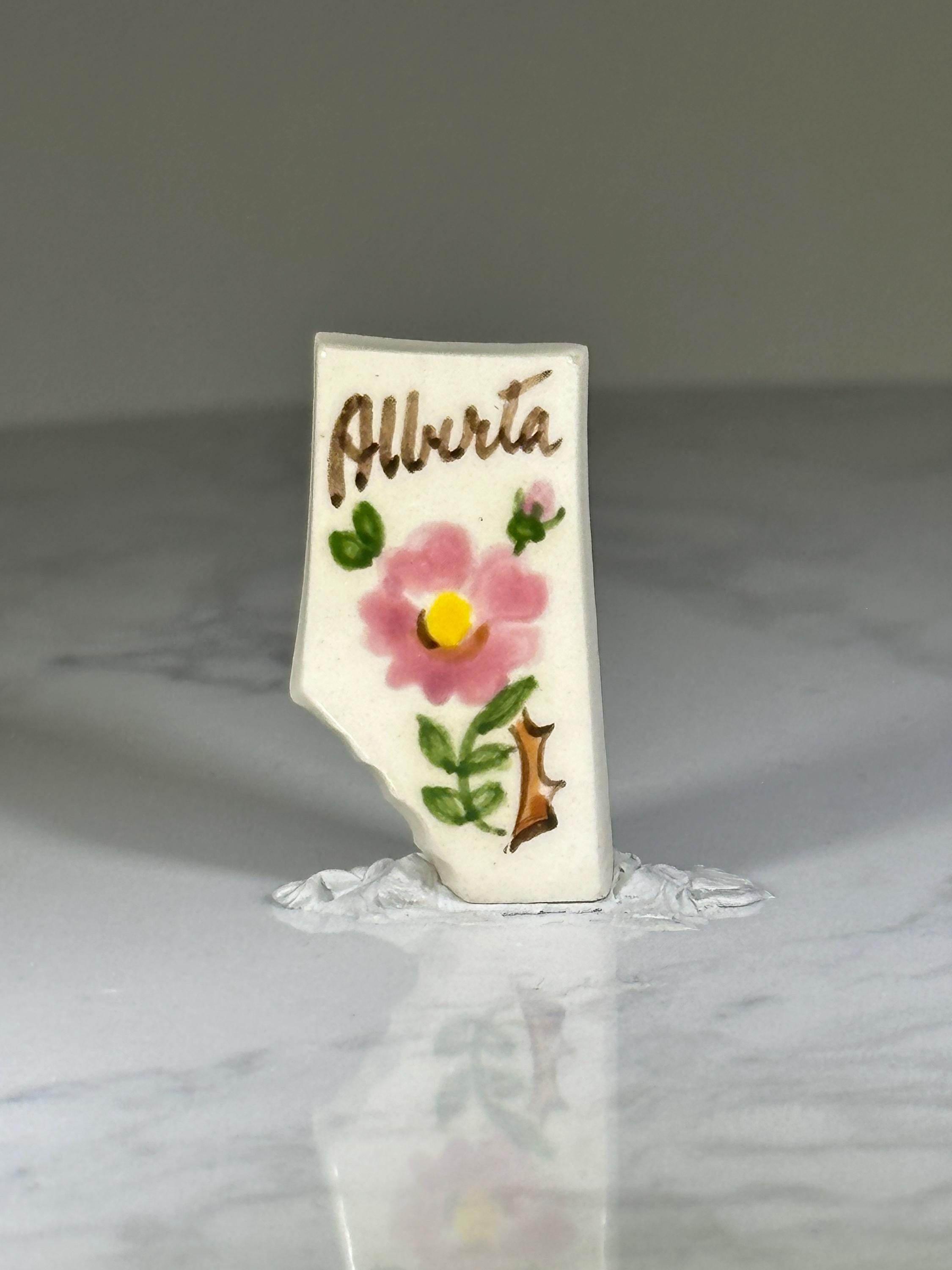 Alberta Canada Souvenir Pin: Hand-Painted Porcelain - Vintage Travel Accessory