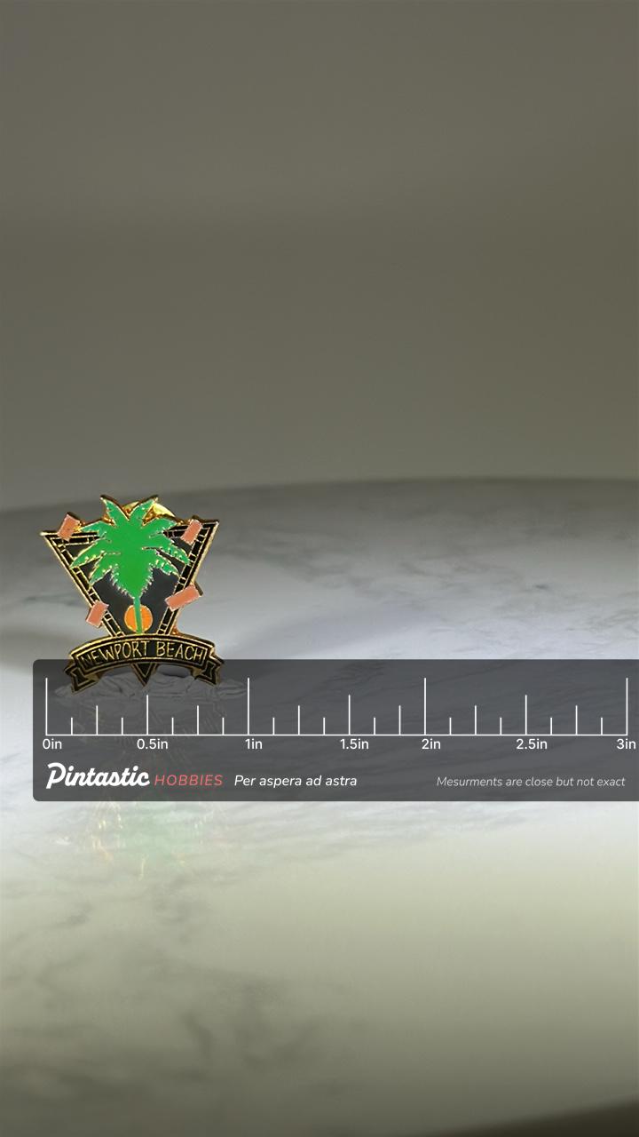 Newport Beach Souvenir Pin: Palm Tree Black Gold Enamel - 1980s Travel Accessory with ruler overlay for size reference