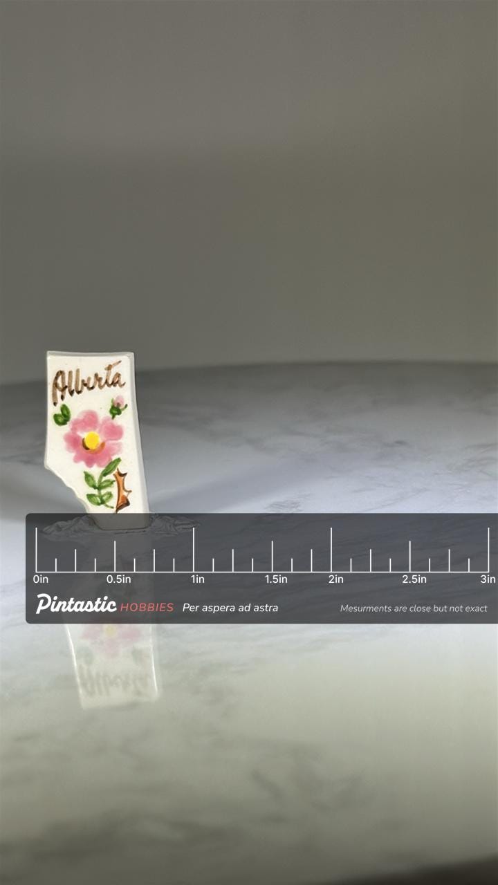 Alberta Canada Souvenir Pin: Hand-Painted Porcelain - Vintage Travel Accessory with ruler overlay for size reference