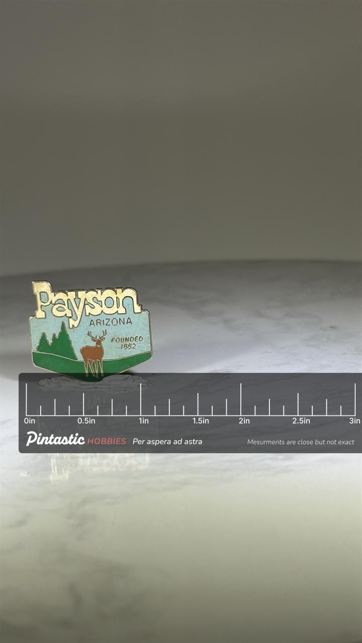 Payson Arizona Travel Pin: Pastel Enamel Finish - Vintage Souvenir Accessory with ruler overlay for size reference