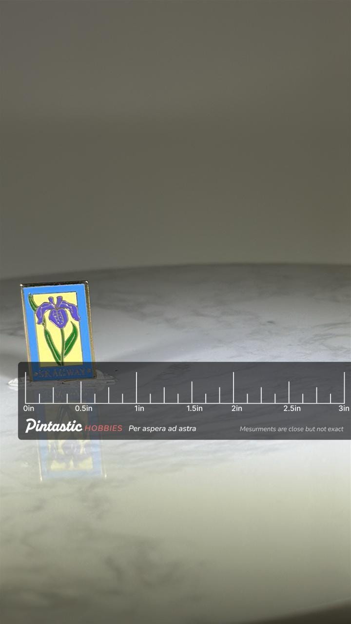 Skagway Iris Flower Pin: Purple Enamel Goldtone - Vintage Travel Accessory with ruler overlay for size reference