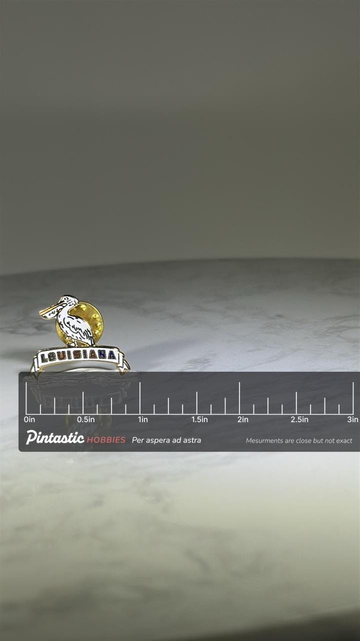 Louisiana Pelican Pin: White Enamel & Gold - State Souvenir Accessory with ruler overlay for size reference