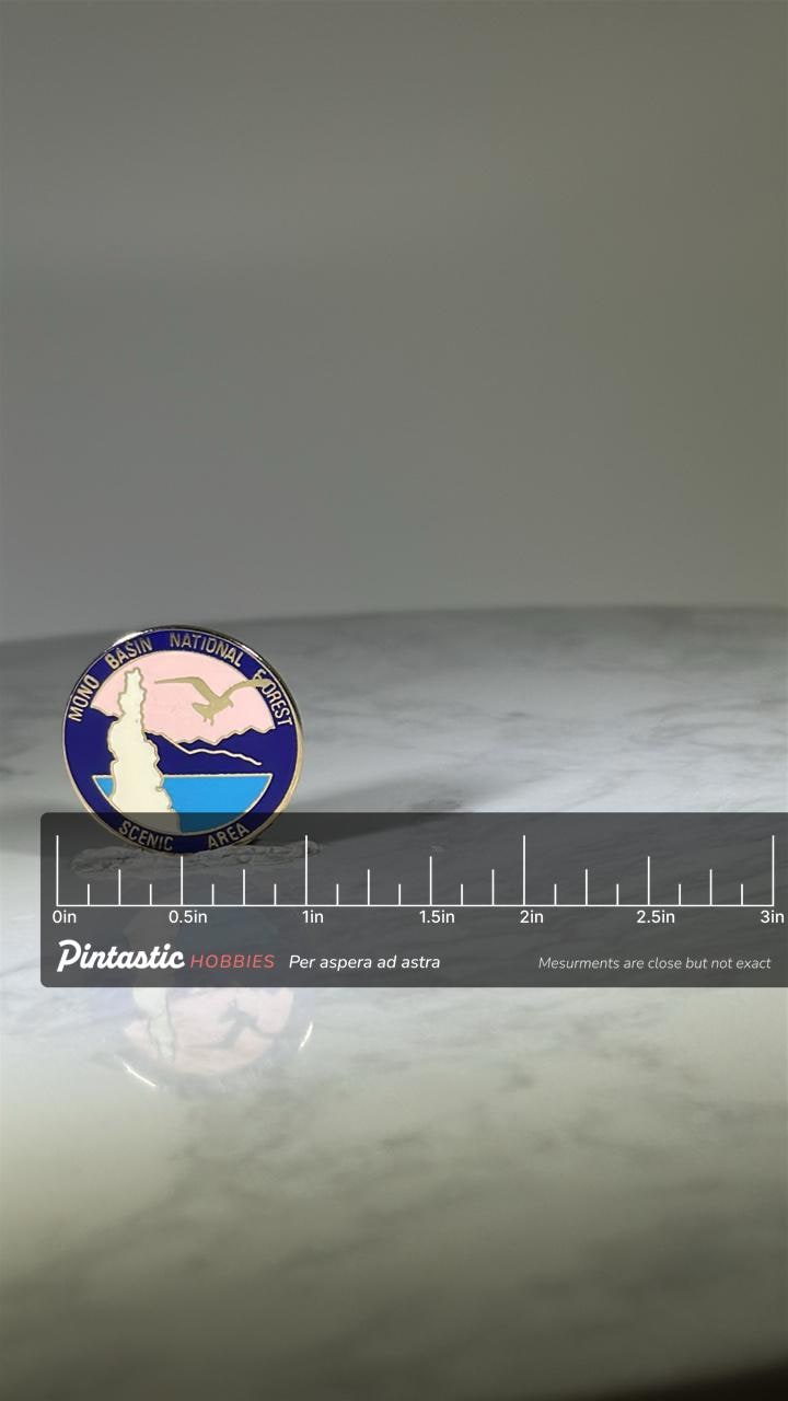 Mono Basin National Forest Pin: Pastel Enamel Finish - Vintage Travel Accessory with ruler overlay for size reference
