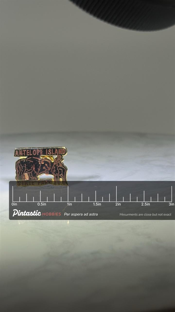 Antelope Island State Park Pin: Gold-Tone Enamel - Nature Travel Accessory with ruler overlay for size reference