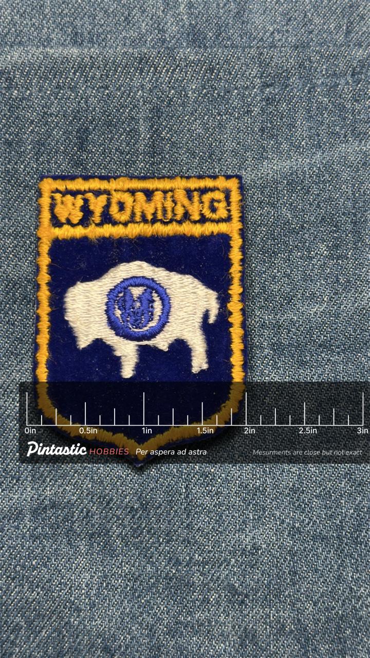 Wyoming Sew On Buffalo Patch: Blue & Gold - Vintage Travel Souvenir with ruler overlay for size reference