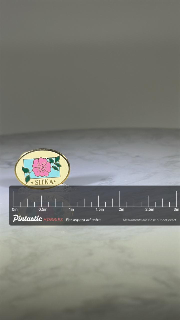 Sitka Alaska Souvenir Pin: Gold & Pastel Enamel - Vintage Travel Accessory with ruler overlay for size reference