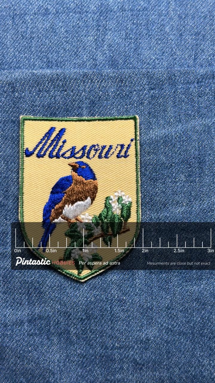 Missouri Collectable Patch: Sew-On Shield-Shape Yellow Bluebird - Vintage State Accessory with ruler overlay for size referen