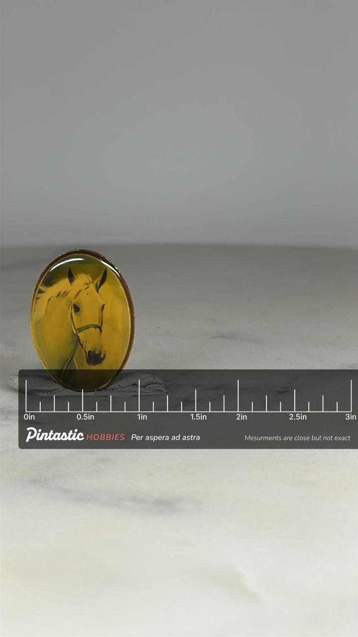 Horse Portrait Oval Pin: Yellow Resin Finish - Vintage Animal Accessory with ruler overlay for size reference