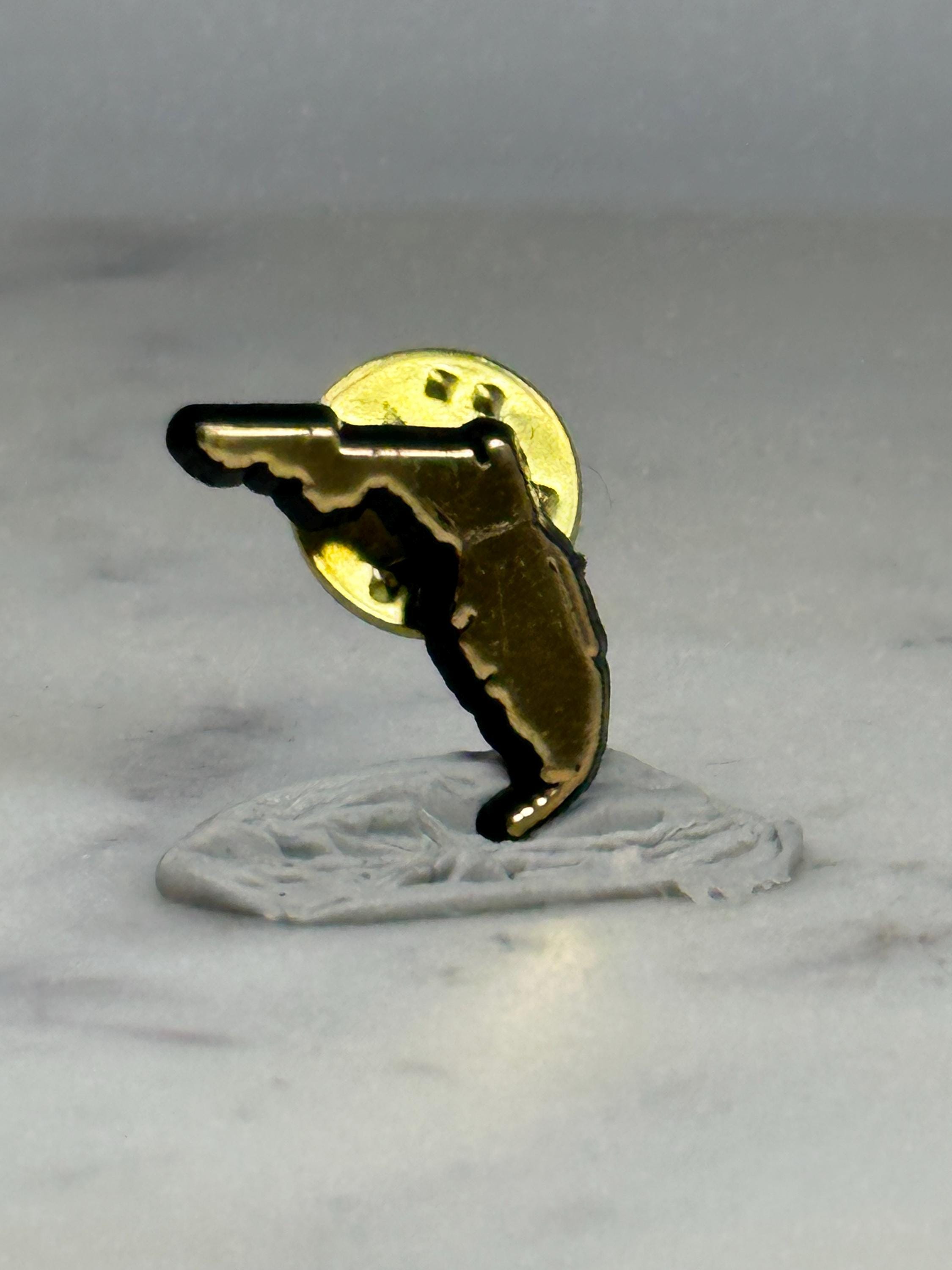Florida State Enamel Pin: Glossy Gold & Black - Vintage Travel Accessory