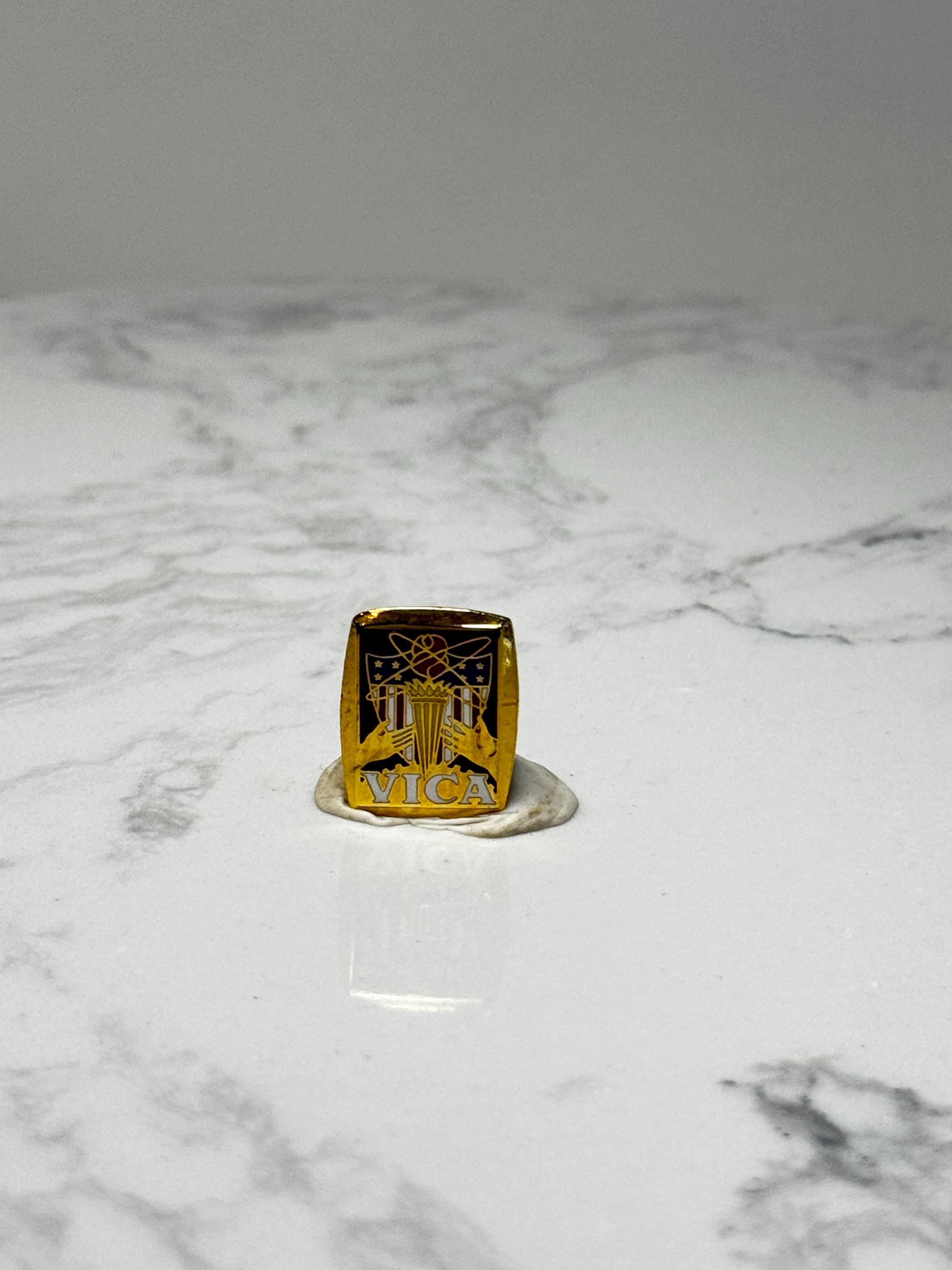 VICA Organization Pin: Gold Enamel - Career Club Accessory
