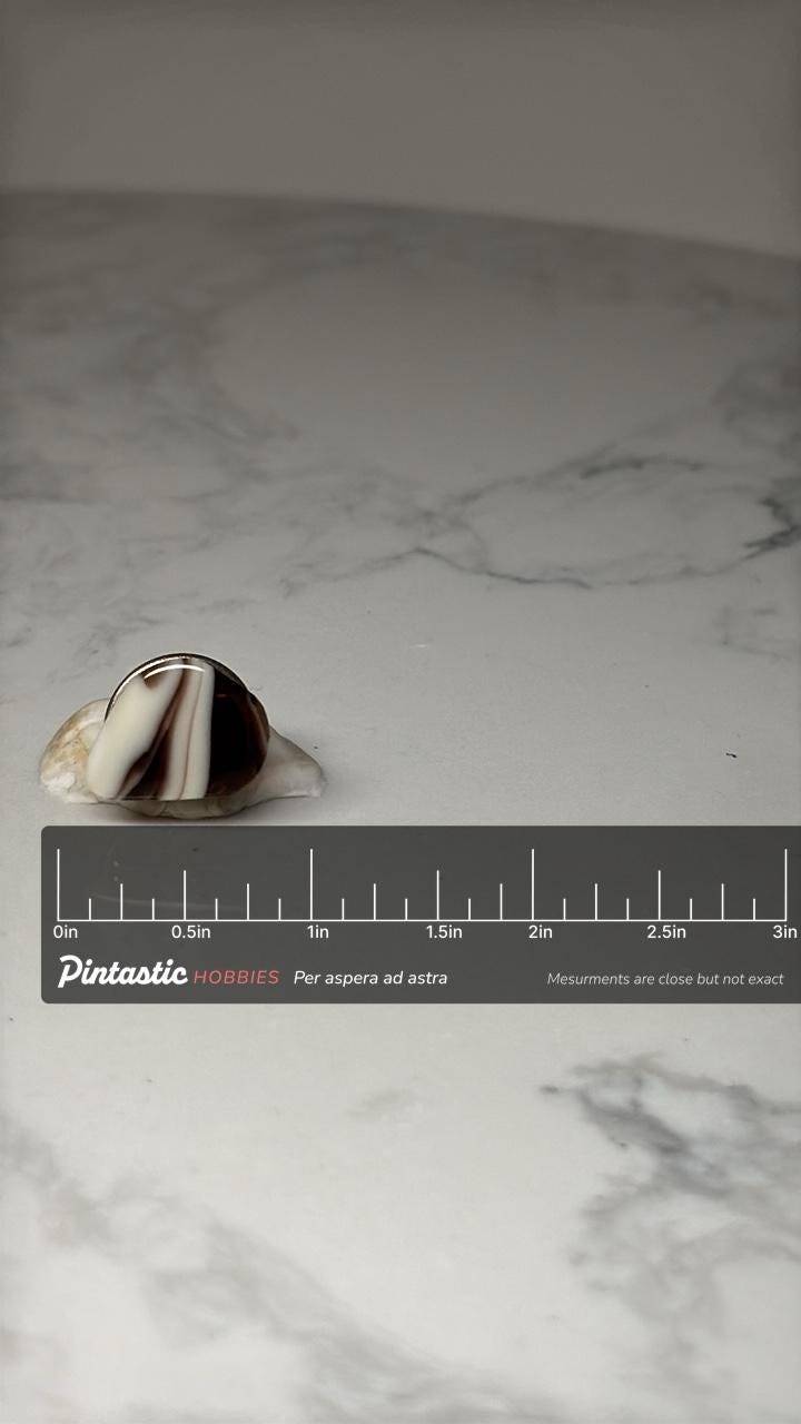 Banded Agate Stone Lapel Pin: Brown & Cream Polished - Vintage Accessory with ruler overlay for size reference