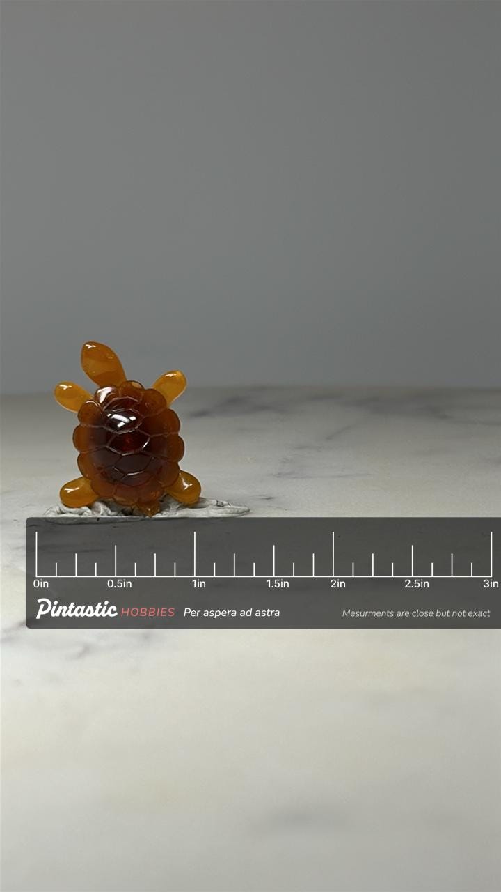 Amber Turtle Lapel Pin: Translucent Resin - Vintage Animal Accessory with ruler overlay for size reference