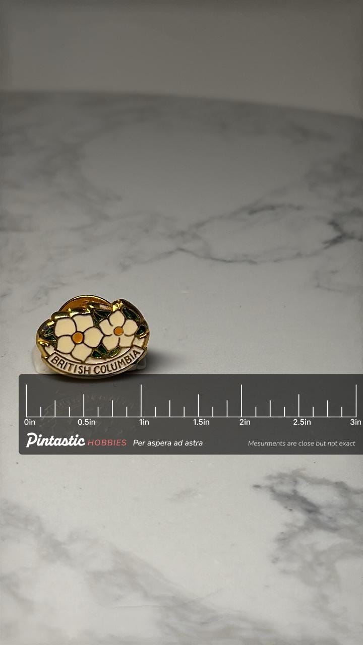 British Columbia Souvenir Pin: Gold Tone Enamel - Canada Travel Accessory with ruler overlay for size reference