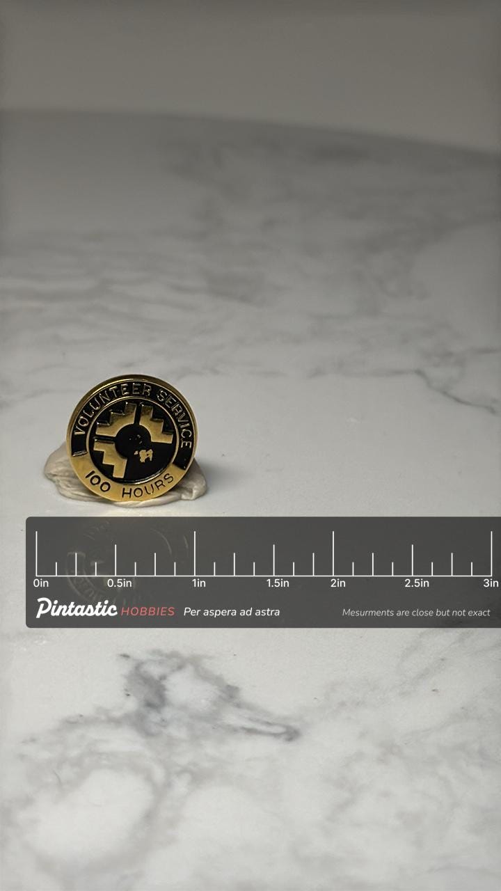 Volunteer Service Award Pin: Gold & Black Enamel - 100 Hours with ruler overlay for size reference