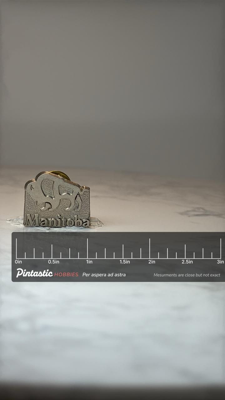 Vintage Manitoba Buffalo Souvenir Pin: Silver Tone - Canada Travel Accessory with ruler overlay for size reference