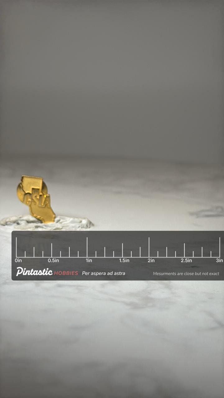 Vintage CSLA California State Pin: Gold Tone - College Alumni Accessory with ruler overlay for size reference