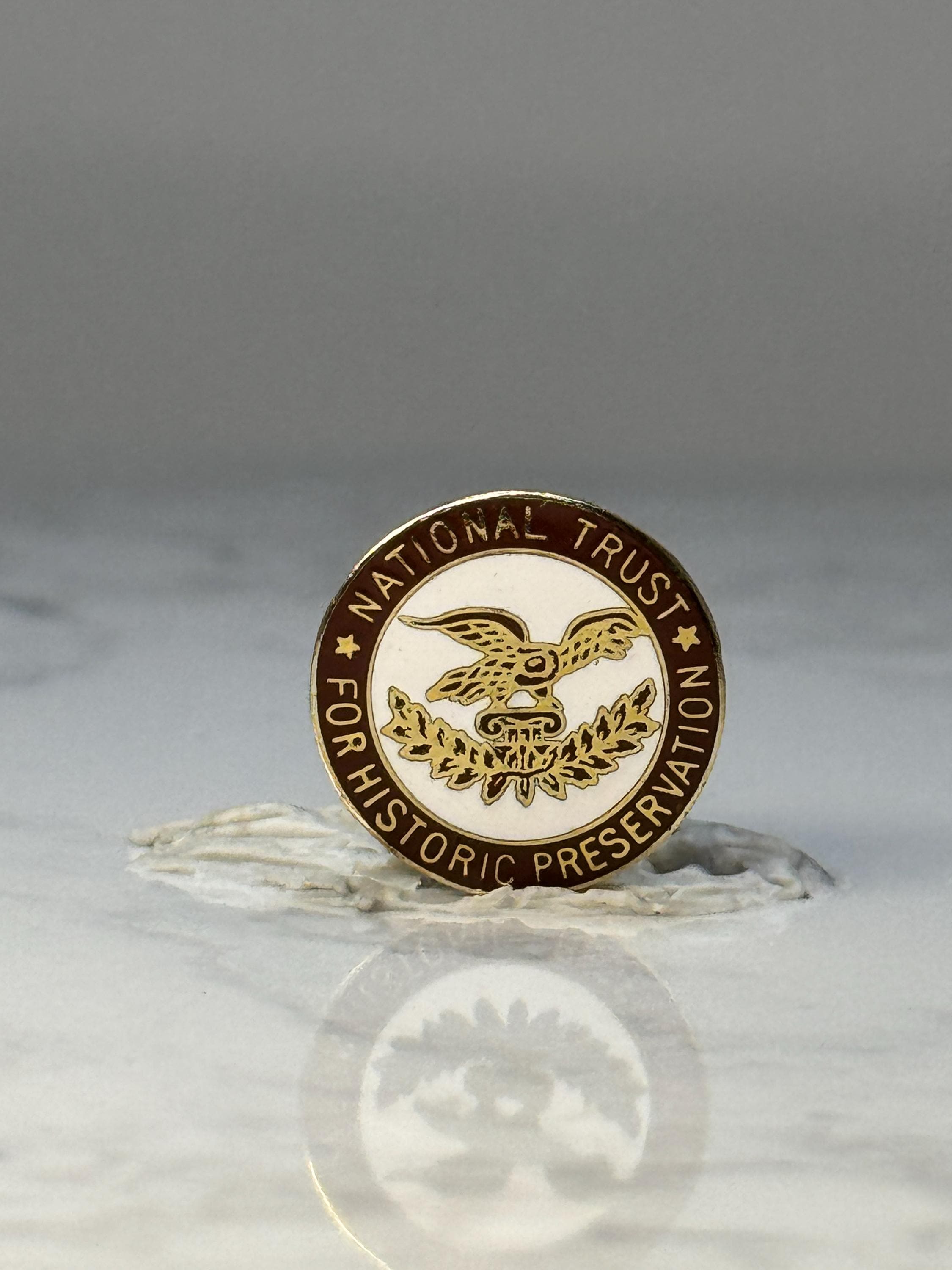 Vintage National Trust Enamel Pin: Brown & Gold - Historic Preservation Accessory