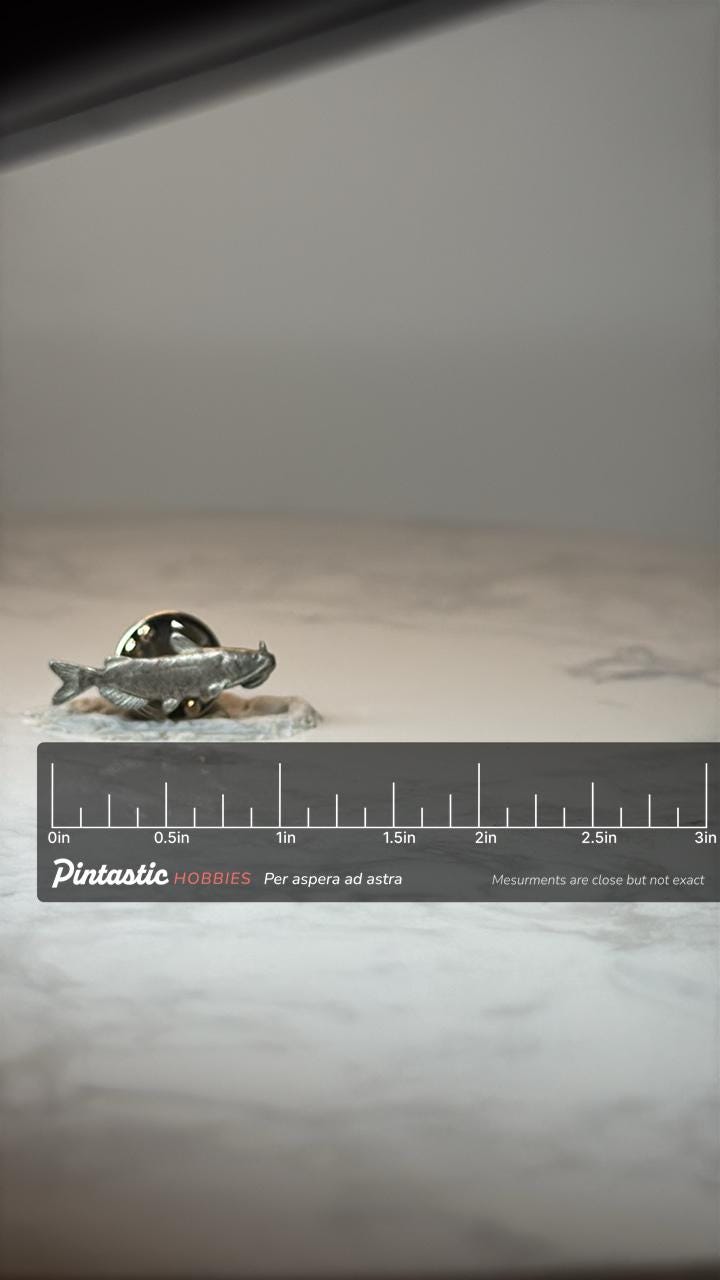 Vintage Catfish Fish Lapel Pin: Silver Tone Metal - Nature Accessory with ruler overlay for size reference