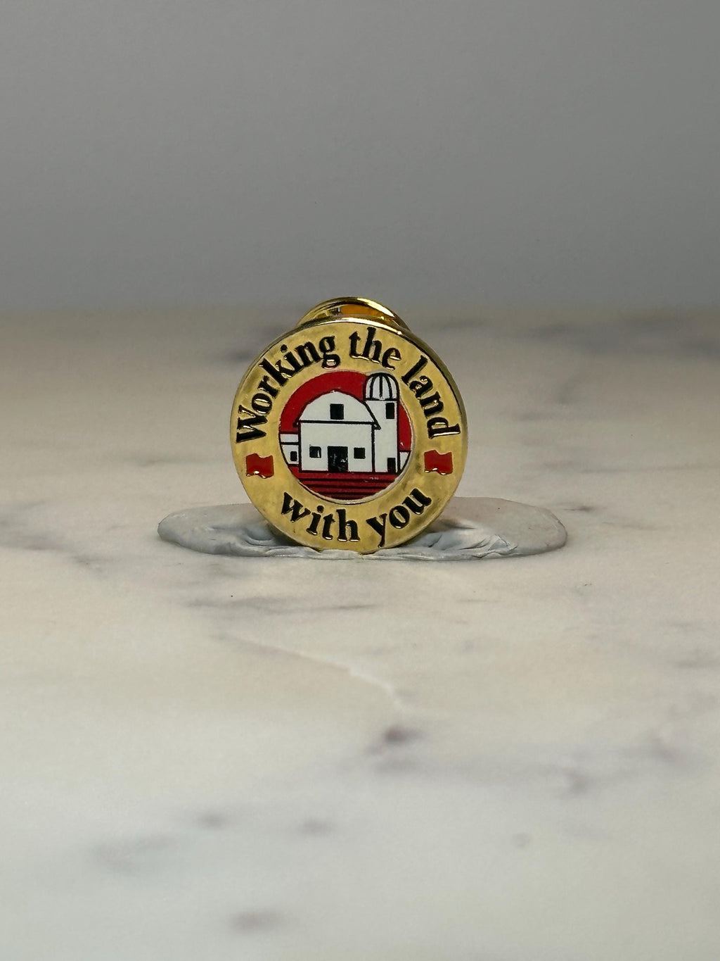 Working the Land With You Farmer Pin: Gold Tone Enamel - Farm Theme Accessory