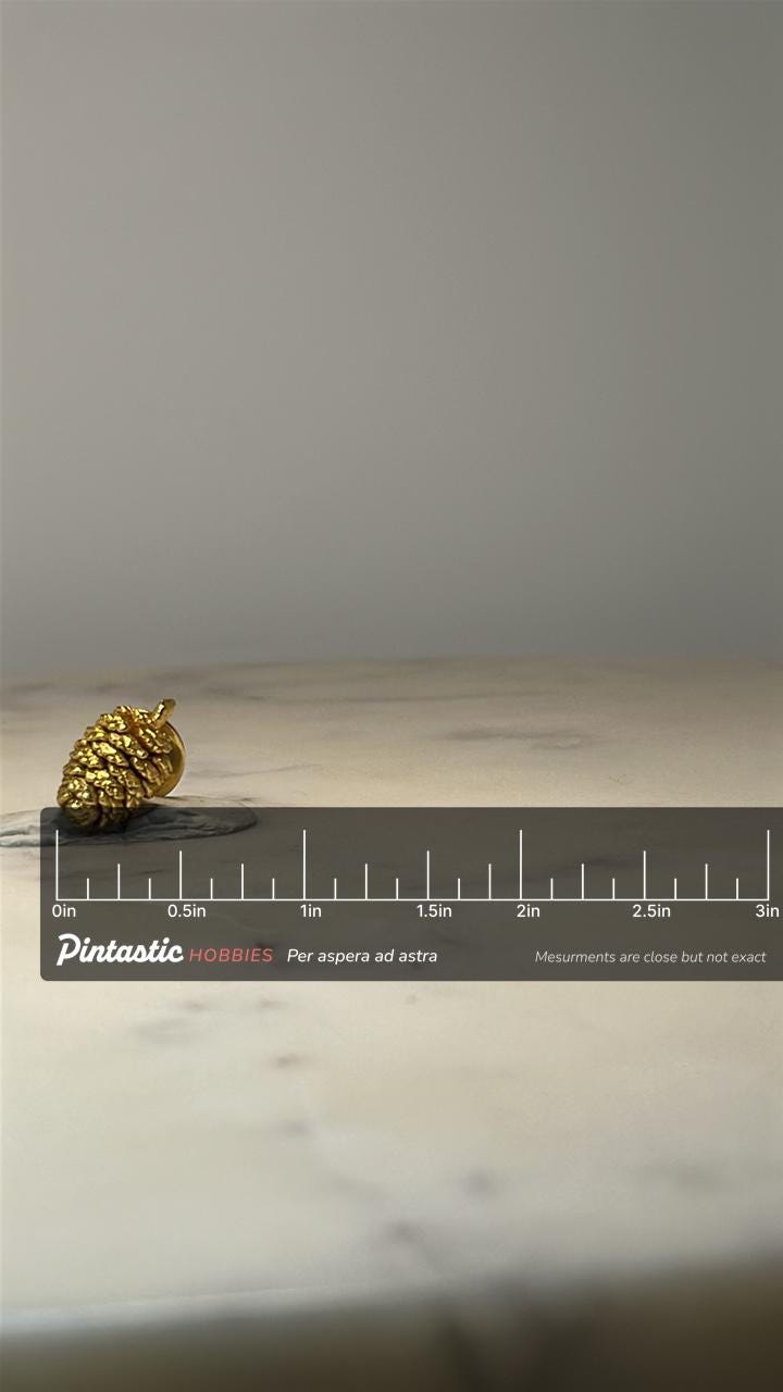 Pine Cone Nature Pin: Gold Tone Textured - Rustic Woodland Accessory with ruler overlay for size reference