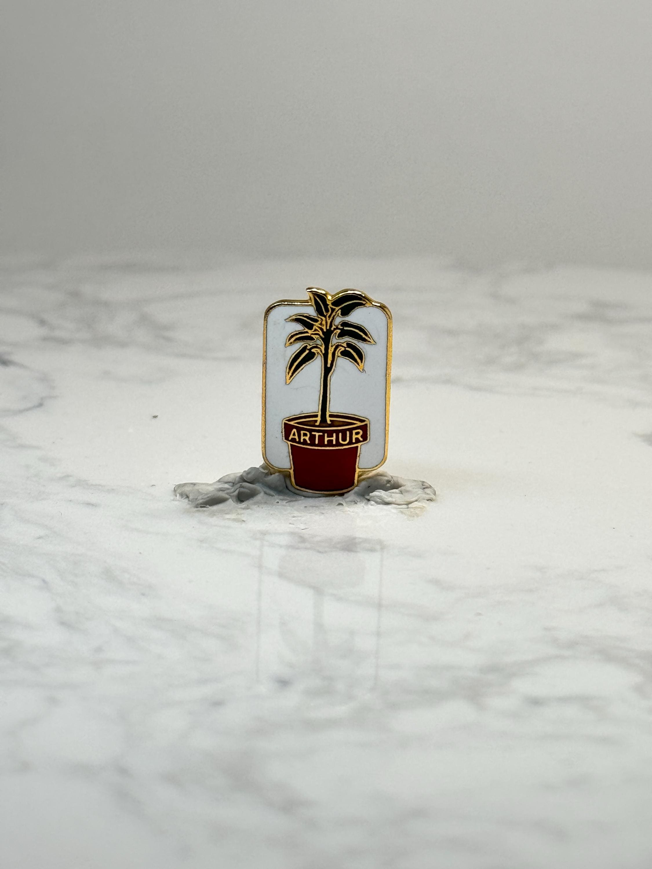 Arthur Plant Name Pin: Gold Tone Enamel - Novelty Accessory