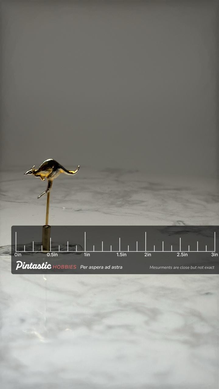 Kangaroo Animal Stick Pin: Gold Tone Metal - Wildlife Accessory with ruler overlay for size reference