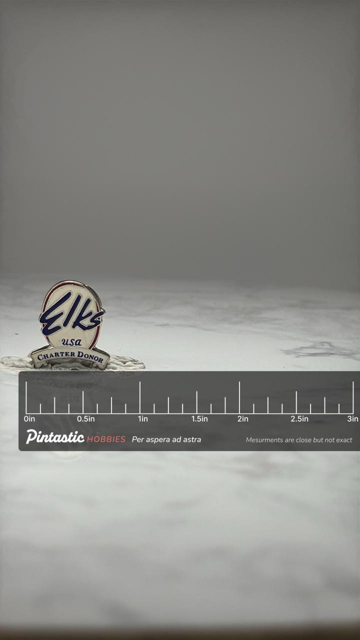 Zikes USA Charter Donor Enamel Pin: Red White Blue - 1990s Accessory with ruler overlay for size reference