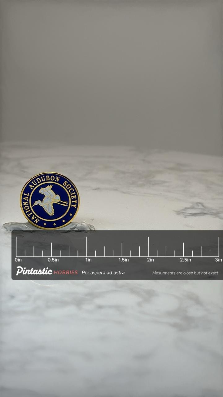 National Audubon Society Enamel Pin: Blue Gold - Birding Accessory with ruler overlay for size reference