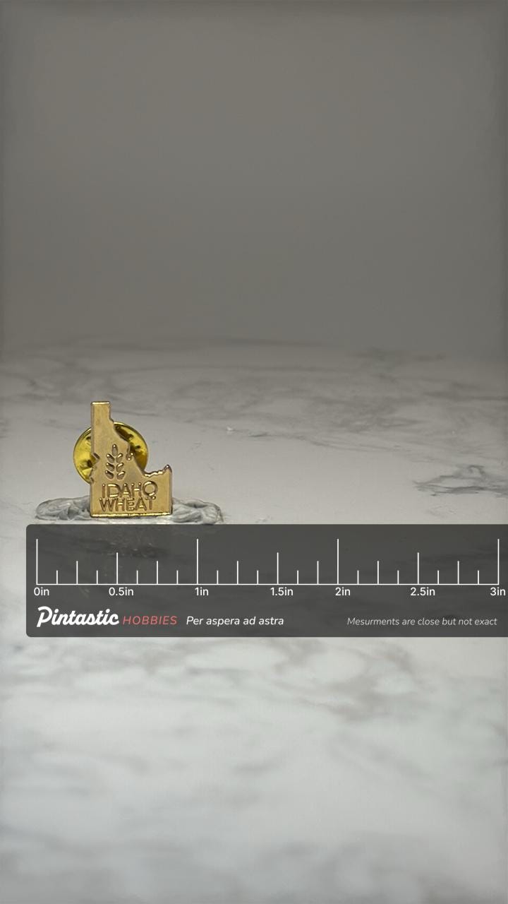 Idaho Wheat State Pin: Gold Tone Enamel - Vintage Souvenir Accessory with ruler overlay for size reference